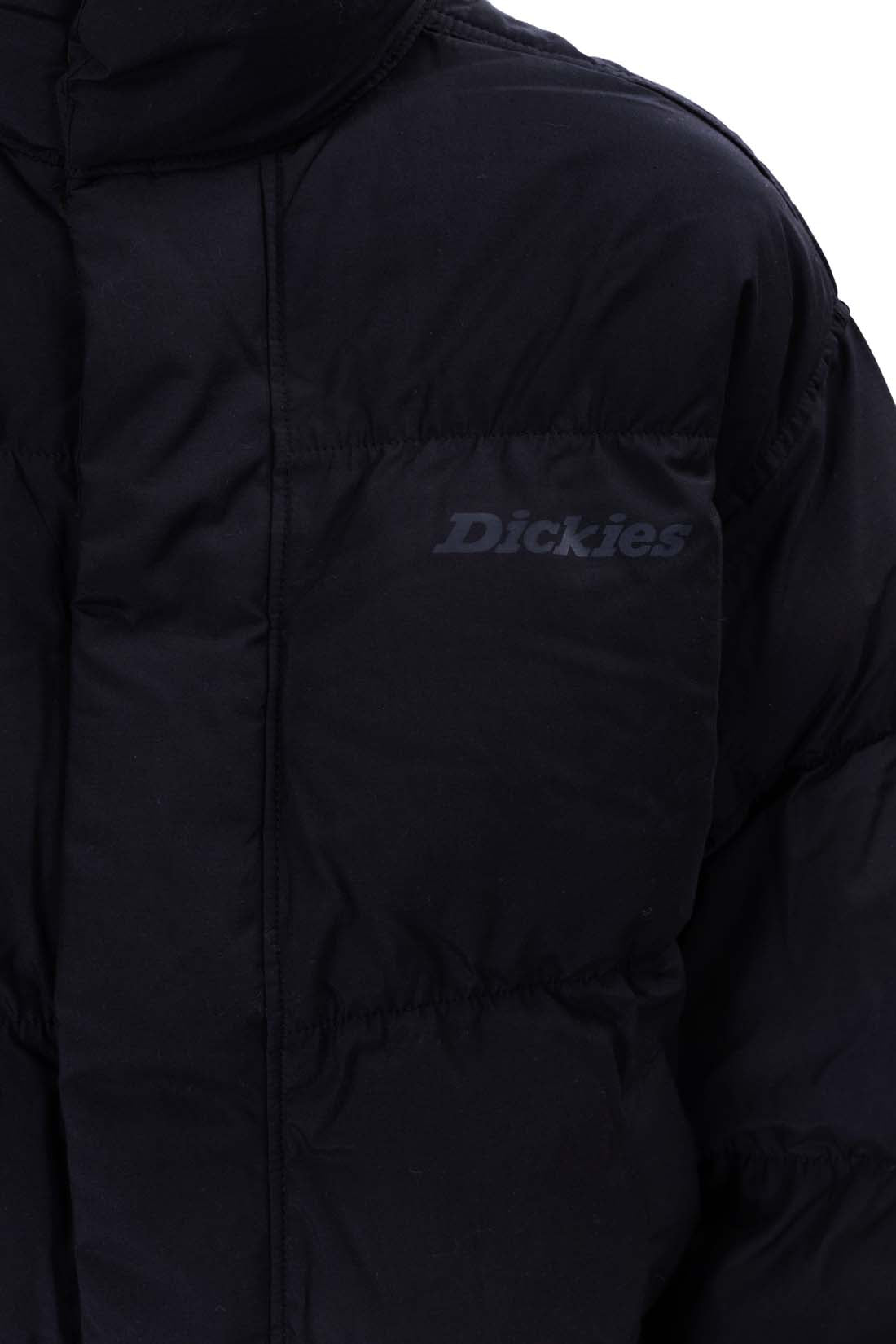 DICKIES - Women's Scobey down jacket-20