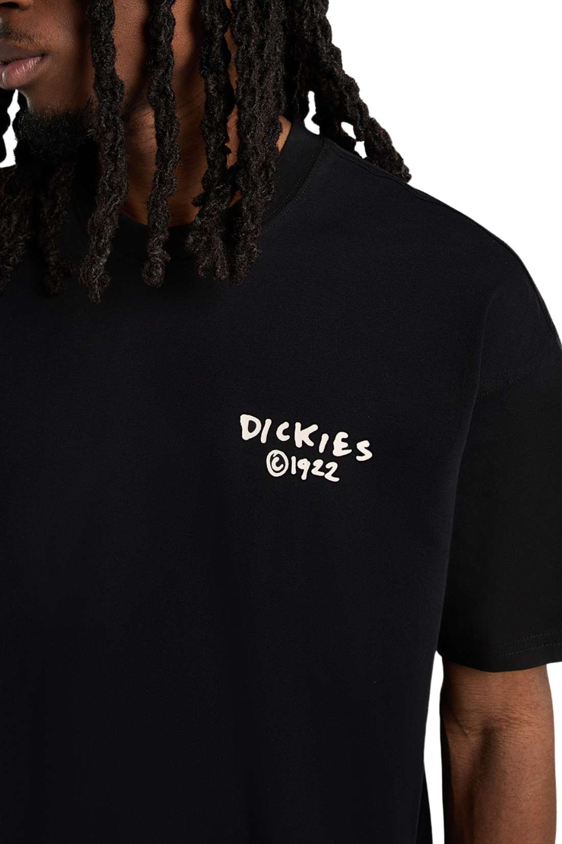 DICKIES - Men's Sneedville T-shirt-3