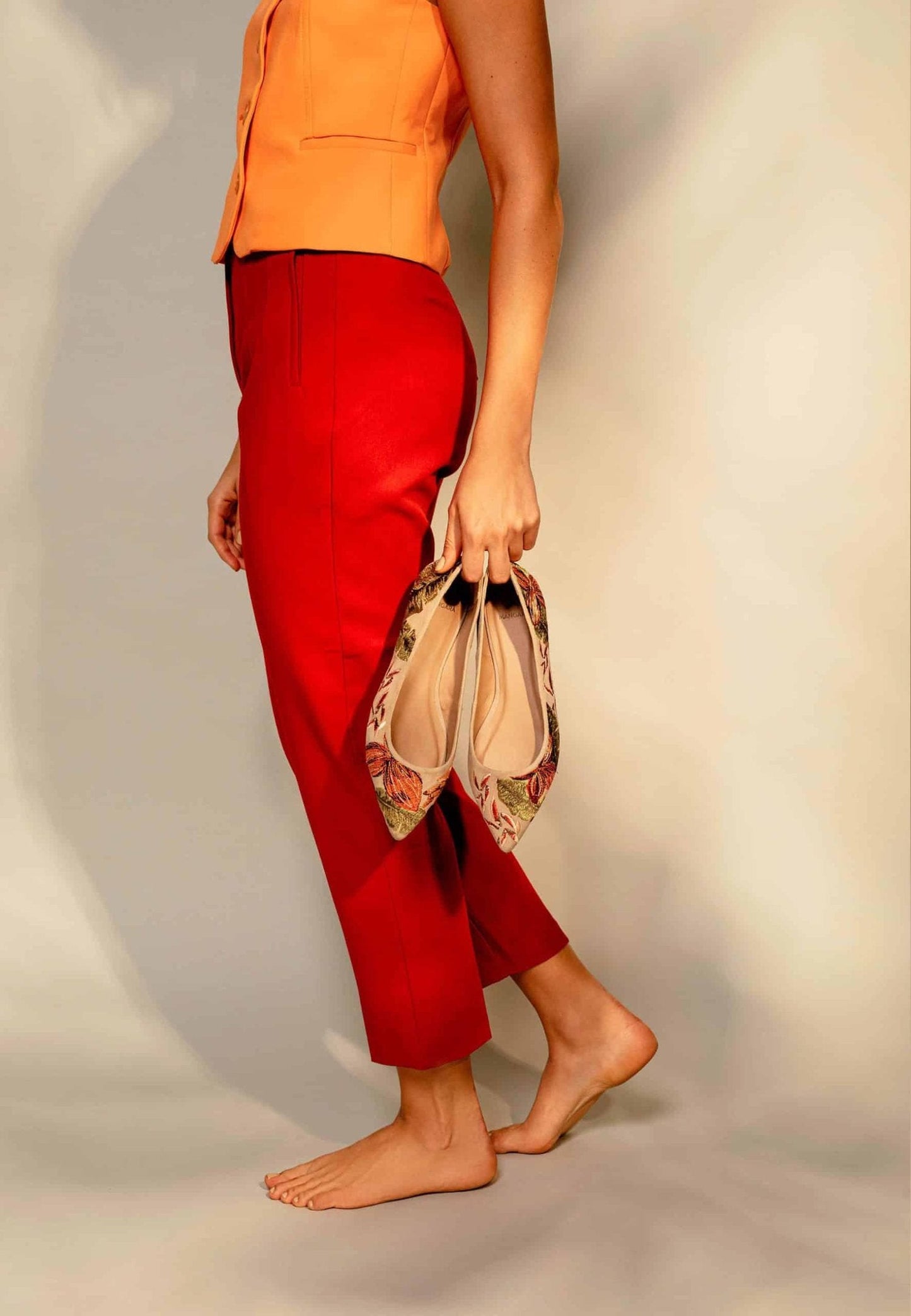 Pindaiva Beige Suede Embroidered Ballerinas
