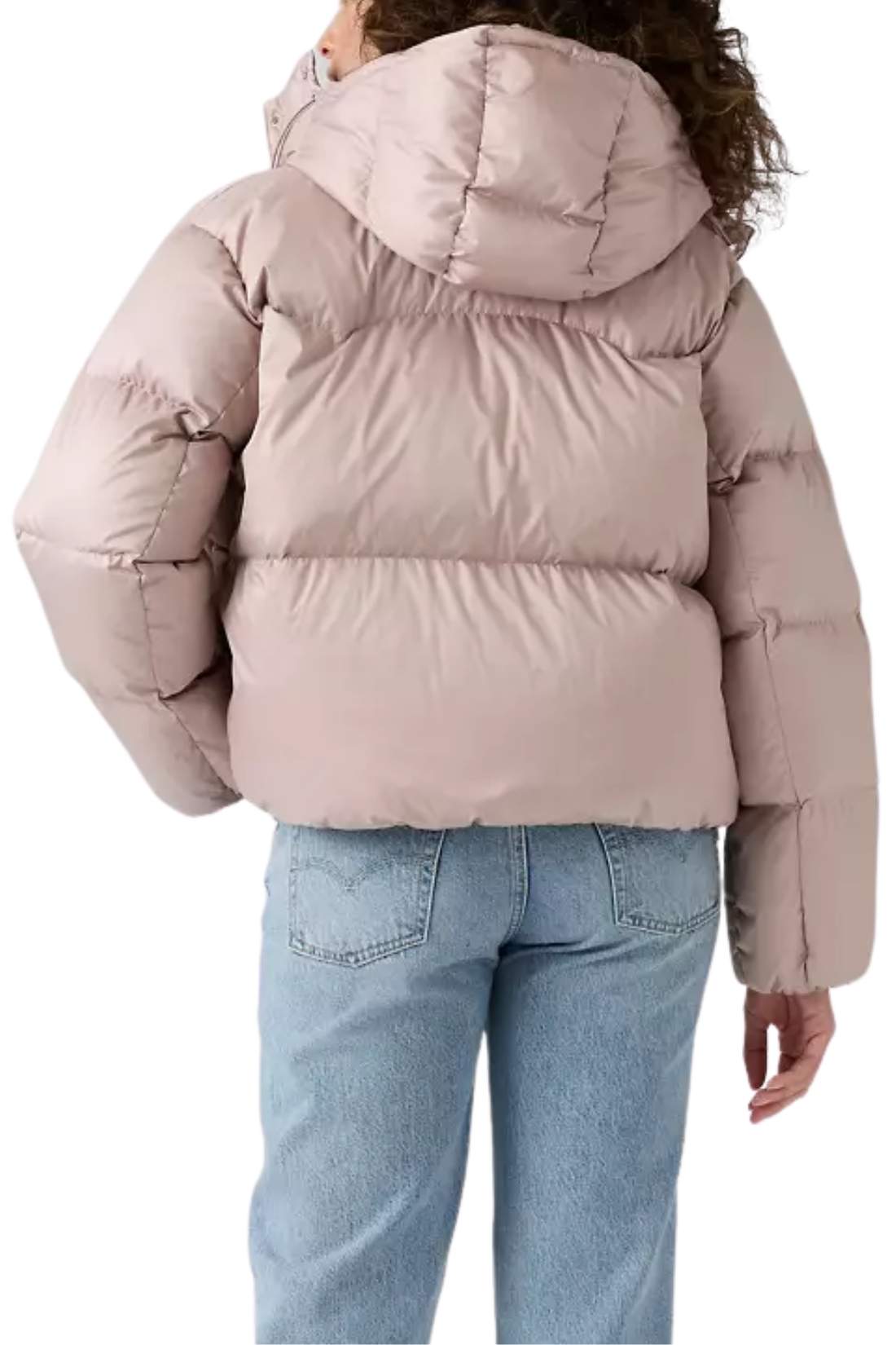 LEVI'S - Women's padded crop Western Bubble down jacket-2