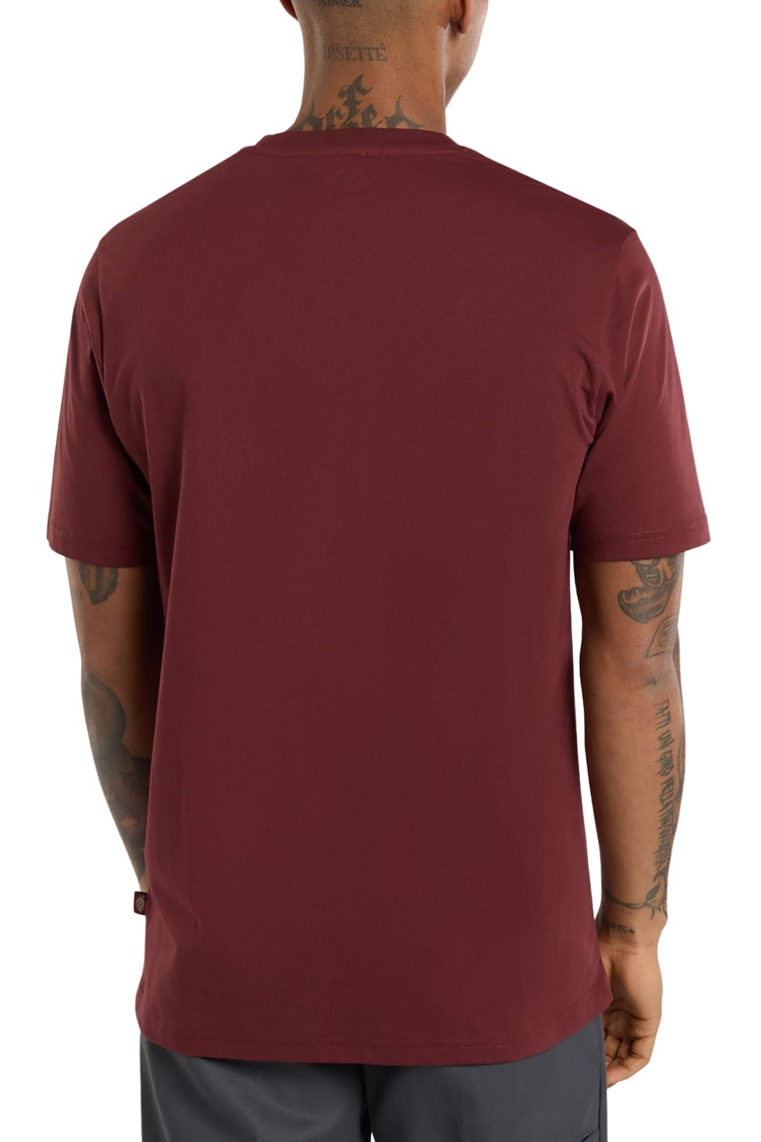 DICKIES - Men's Mapleton T-shirt-2
