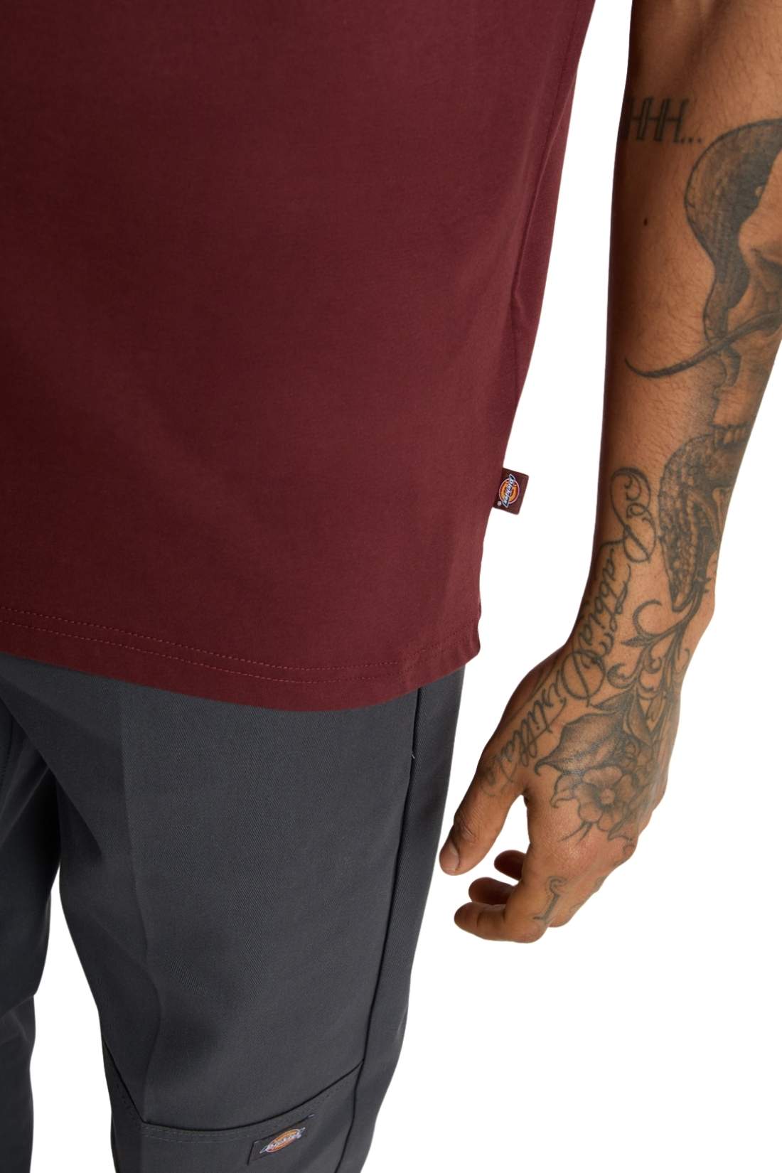 DICKIES - Men's Mapleton T-shirt-0