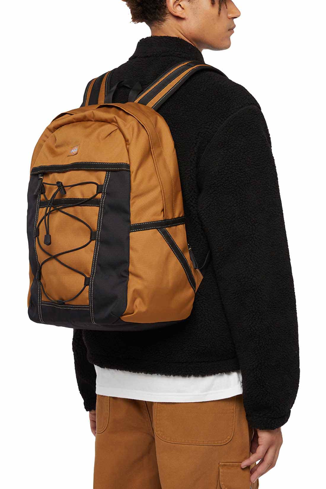 DICKIES - Men's Ashville backpack-4