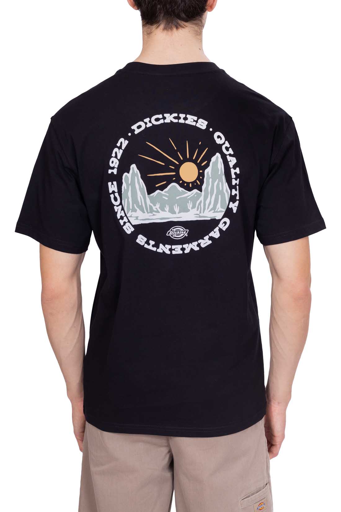 DICKIES - Men's Outdoor T-shirt  - Size L-7