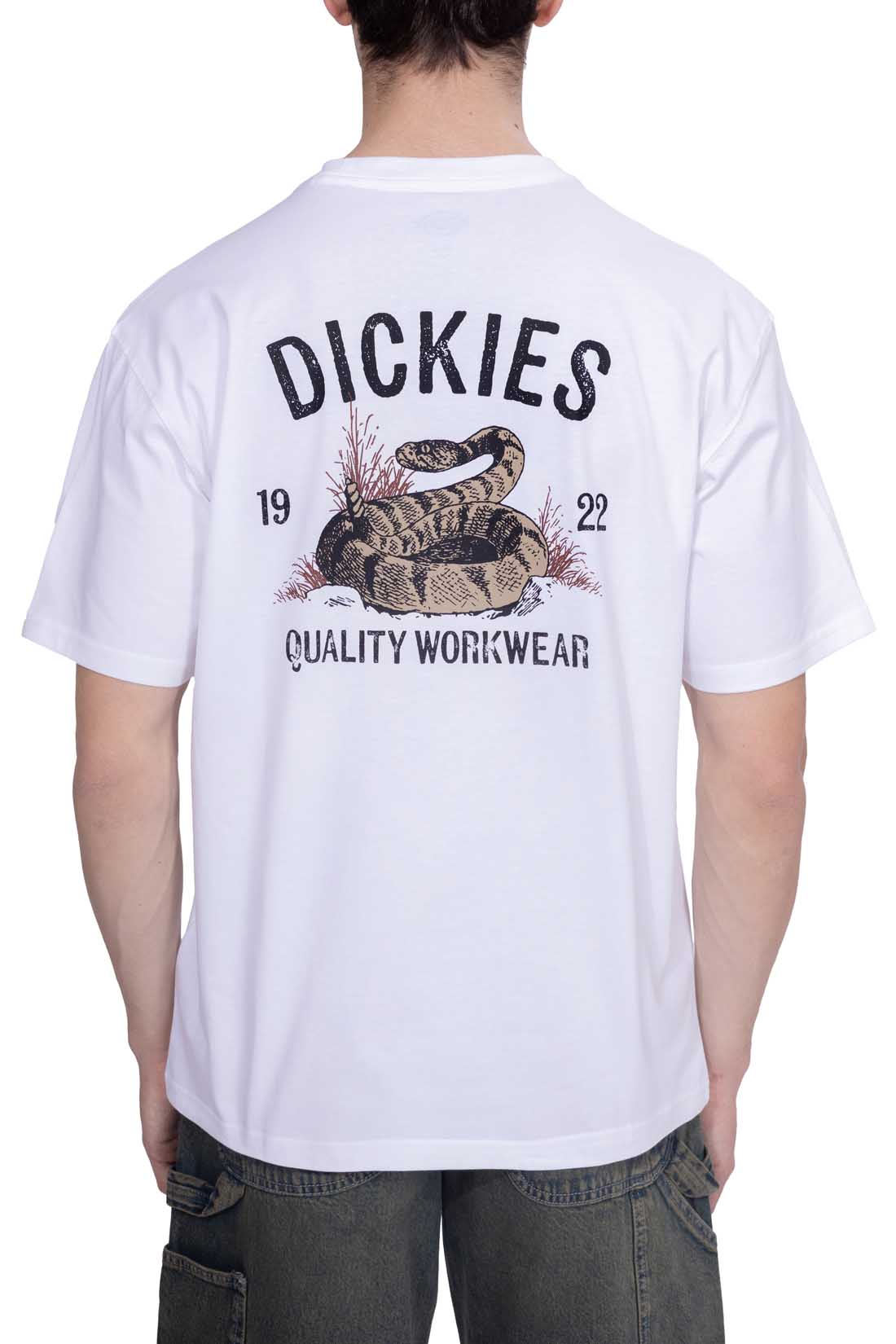 DICKIES - Men's Snake T-shirt  - Size L-19