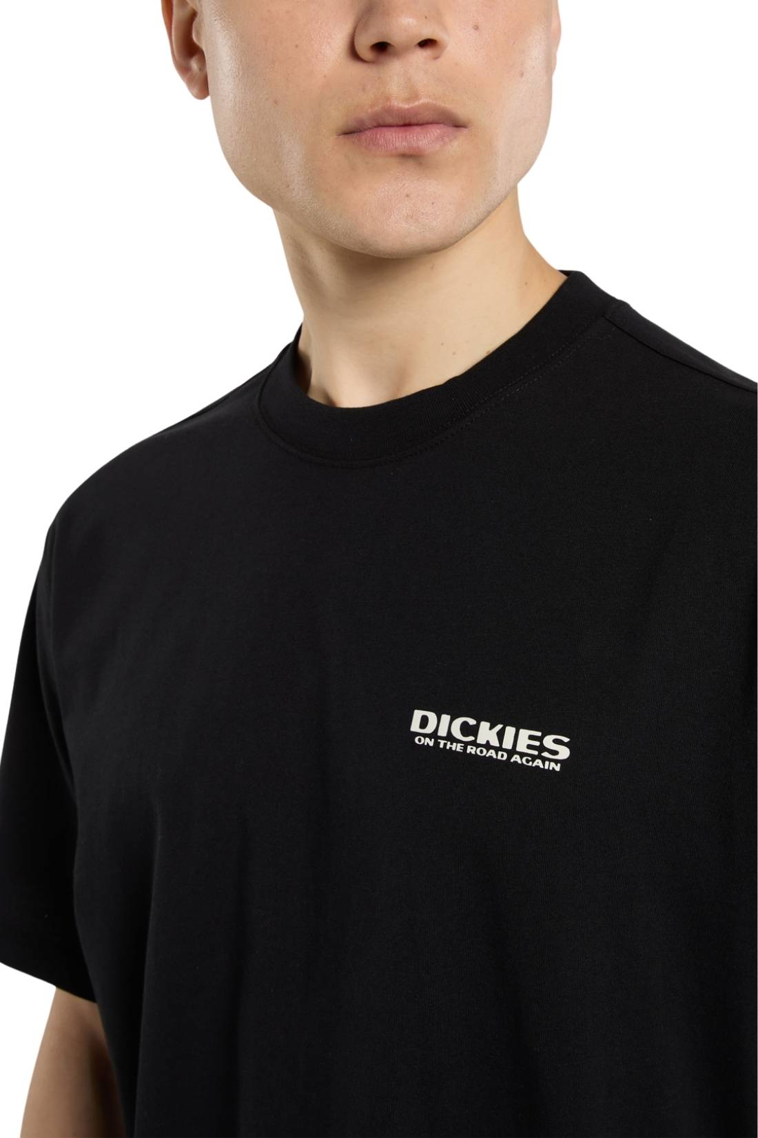 DICKIES - Men's Burns T-shirt-18
