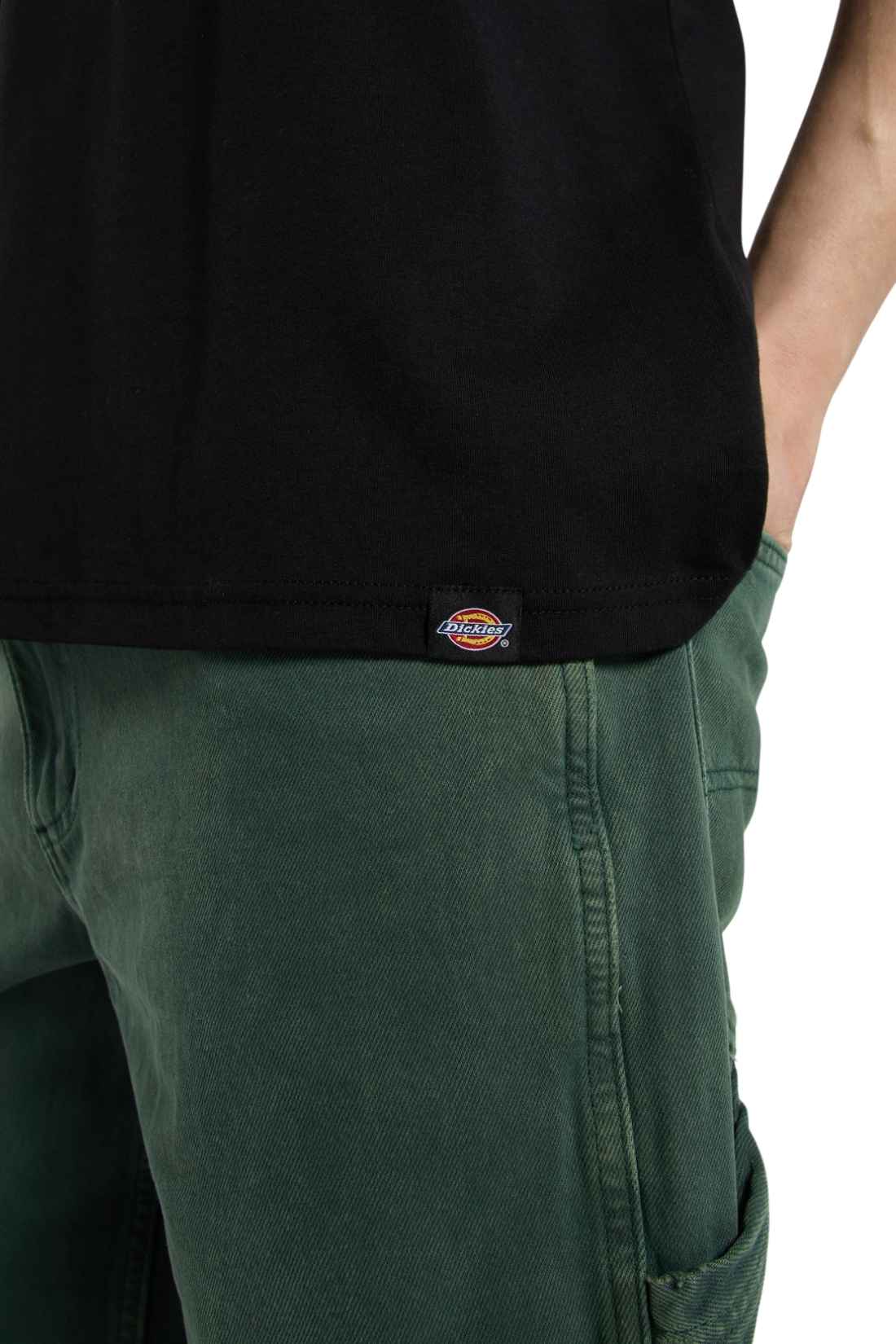 DICKIES - Men's Burns T-shirt-0