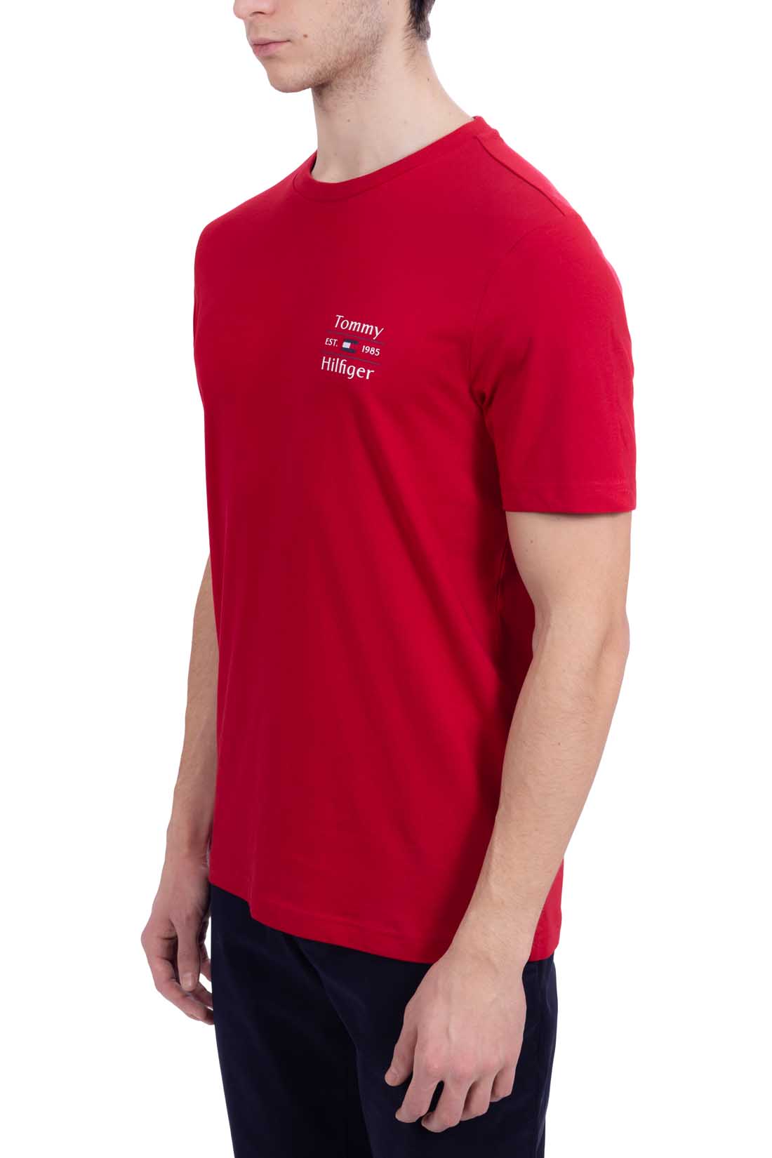 TOMMY HILFIGER - Men's regular logo T-shirt  - Size 3XL-33