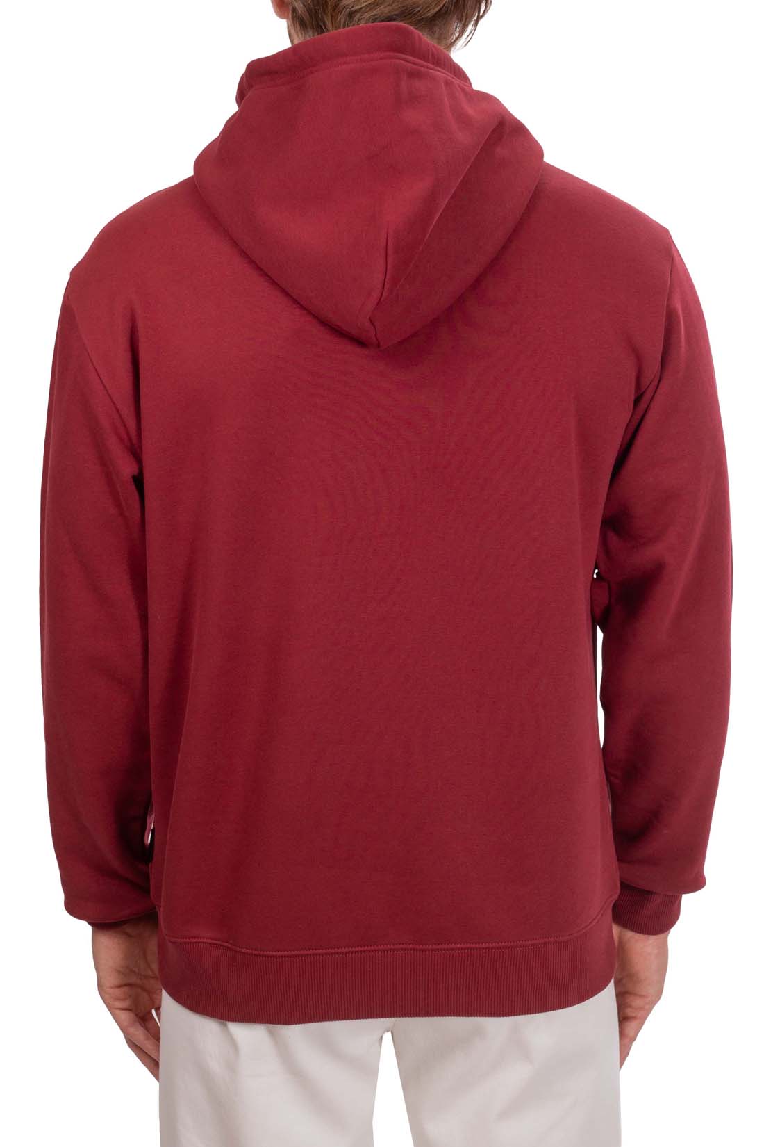 NAPAPIJRI - Men's Telemark winter hoodie-18
