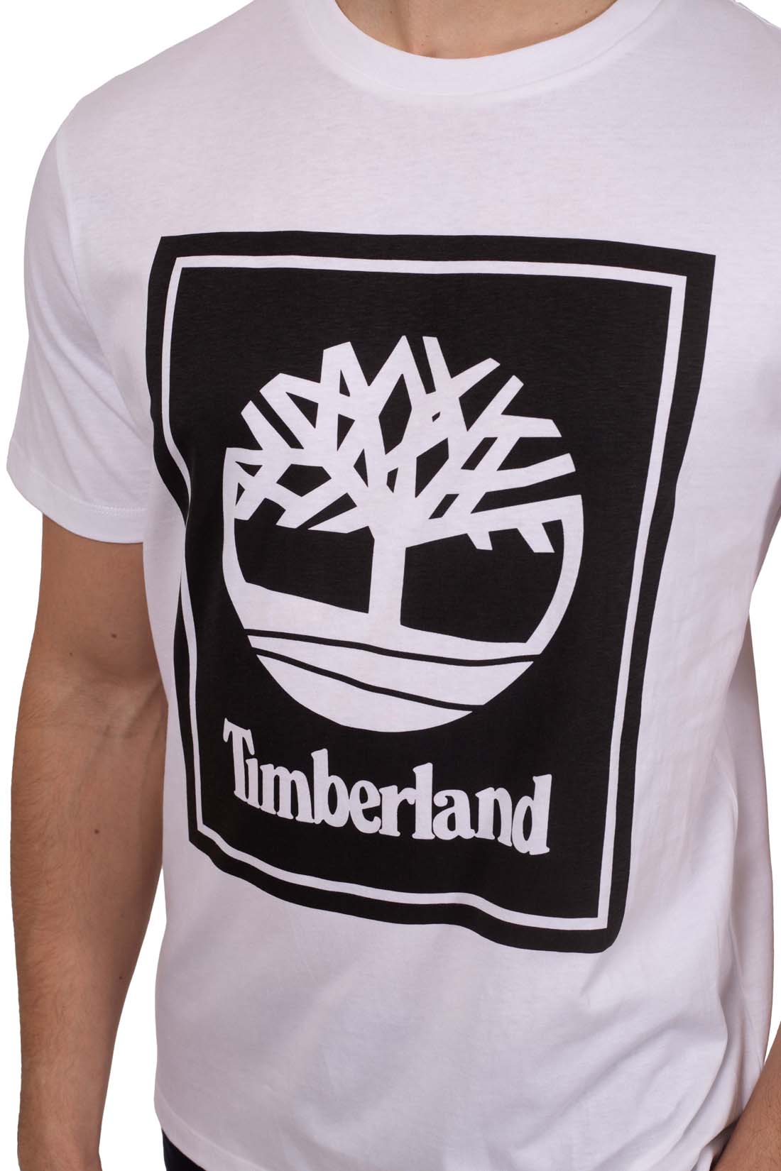 TIMBERLAND - Men's T-shirt with logo  - Size M-0