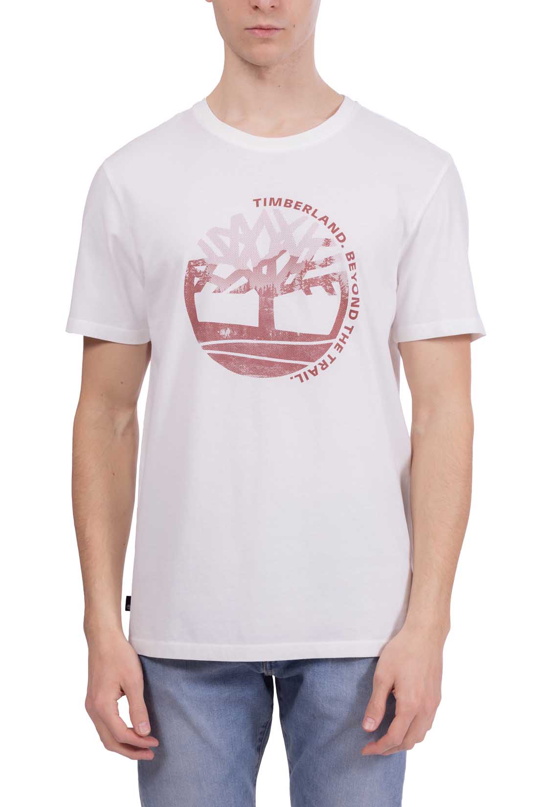 TIMBERLAND - Men's regular T-shirt with graphic print  - Size 3XL-23
