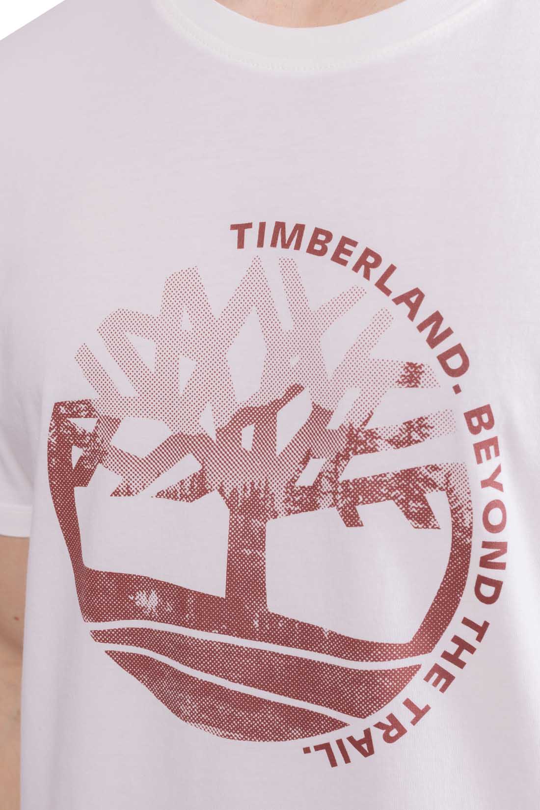 TIMBERLAND - Men's regular T-shirt with graphic print  - Size 3XL-12