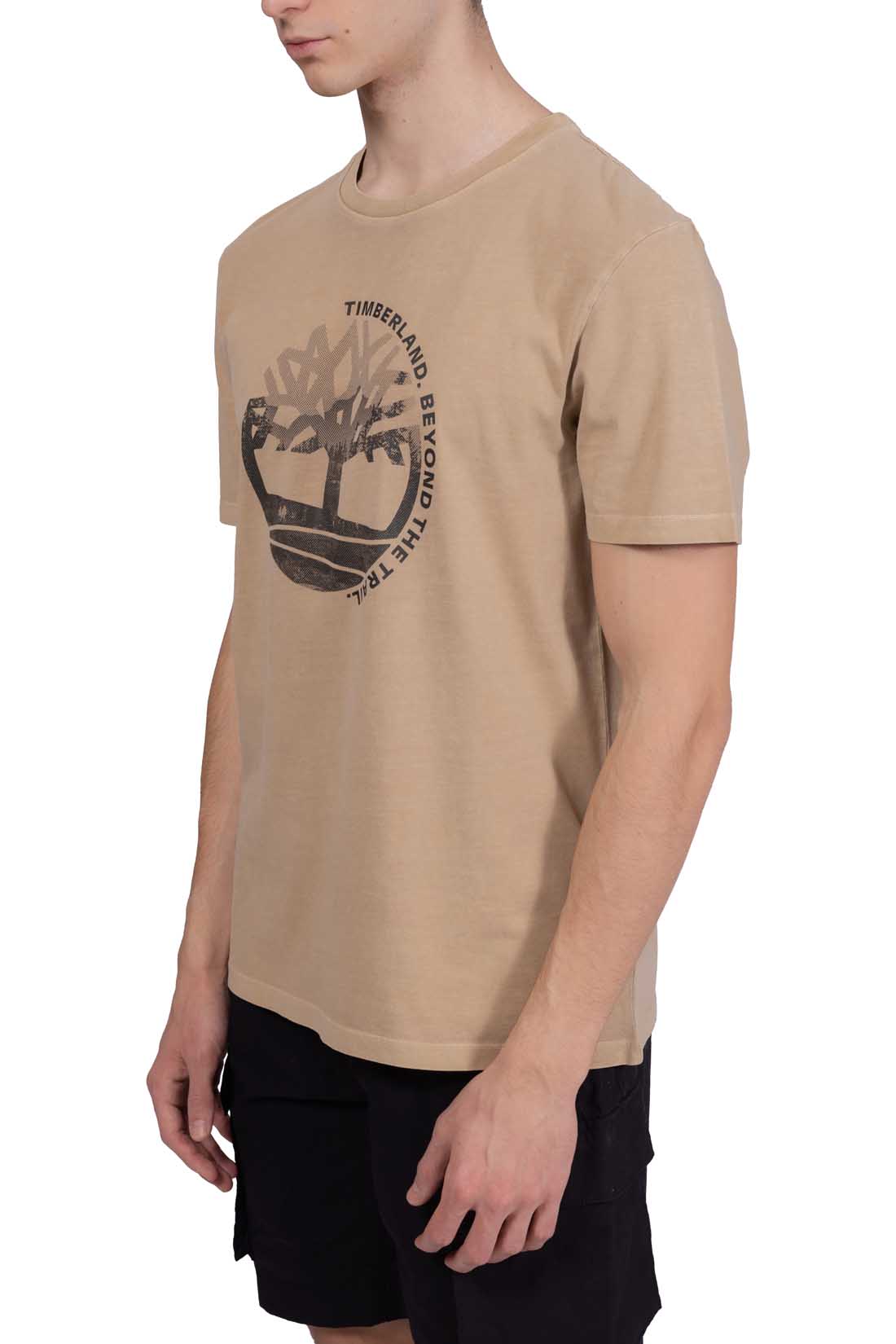 TIMBERLAND - Men's regular T-shirt with graphic print  - Size 3XL-41