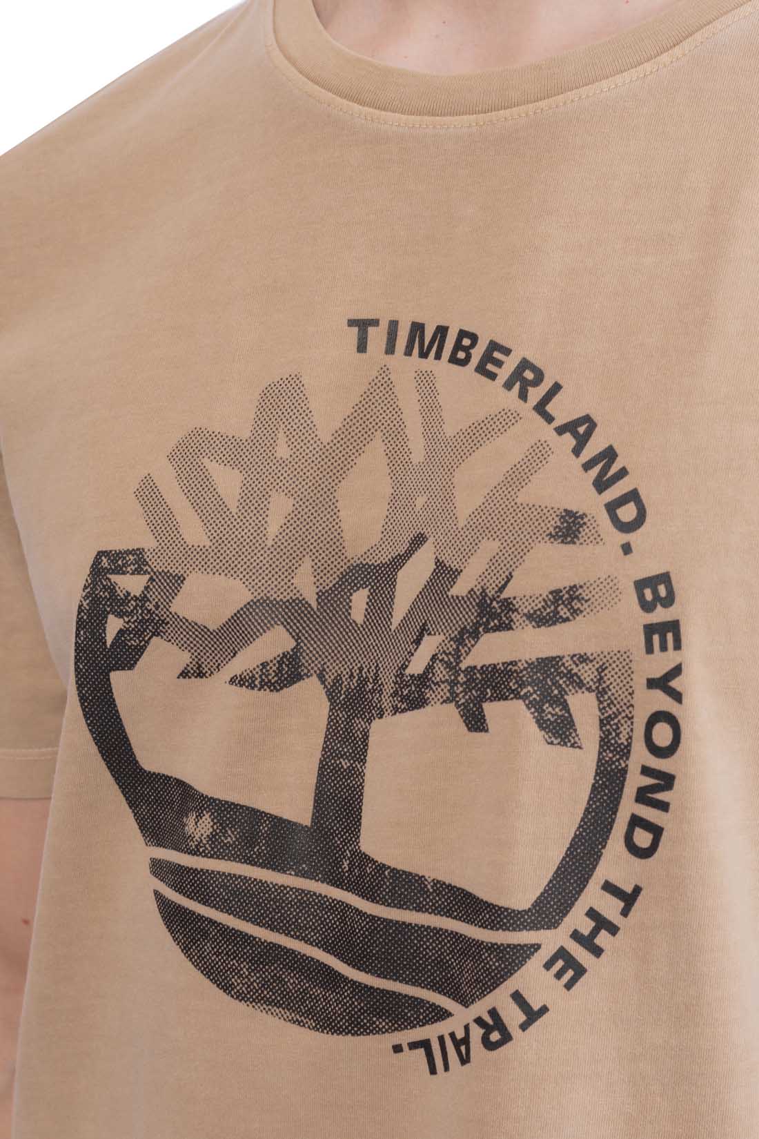TIMBERLAND - Men's regular T-shirt with graphic print  - Size 3XL-28