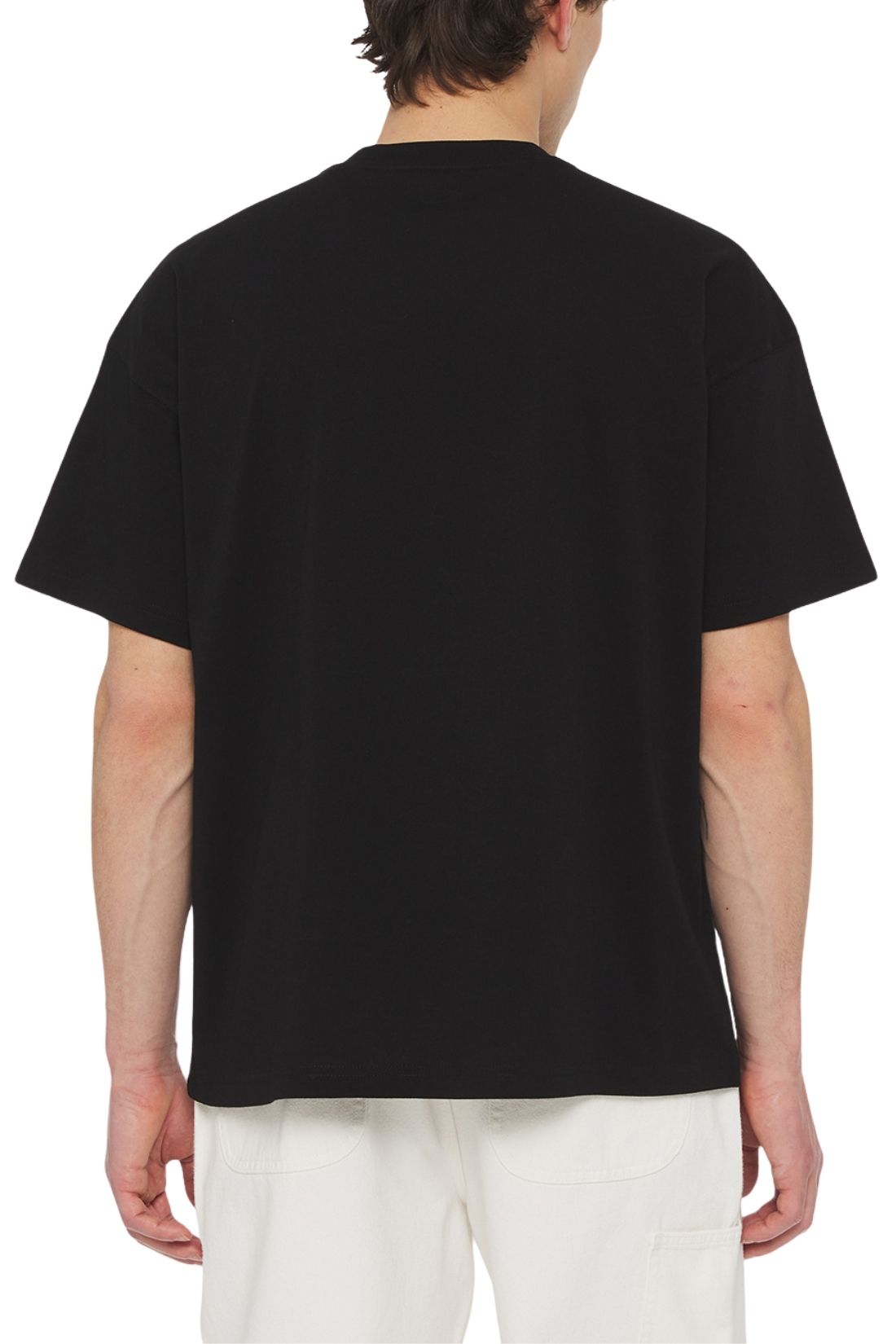 DICKIES - Men's Enterprise T-shirt  - Size-2