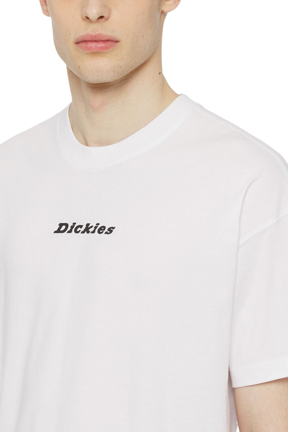 DICKIES - Men's Enterprise T-shirt  - Size-7