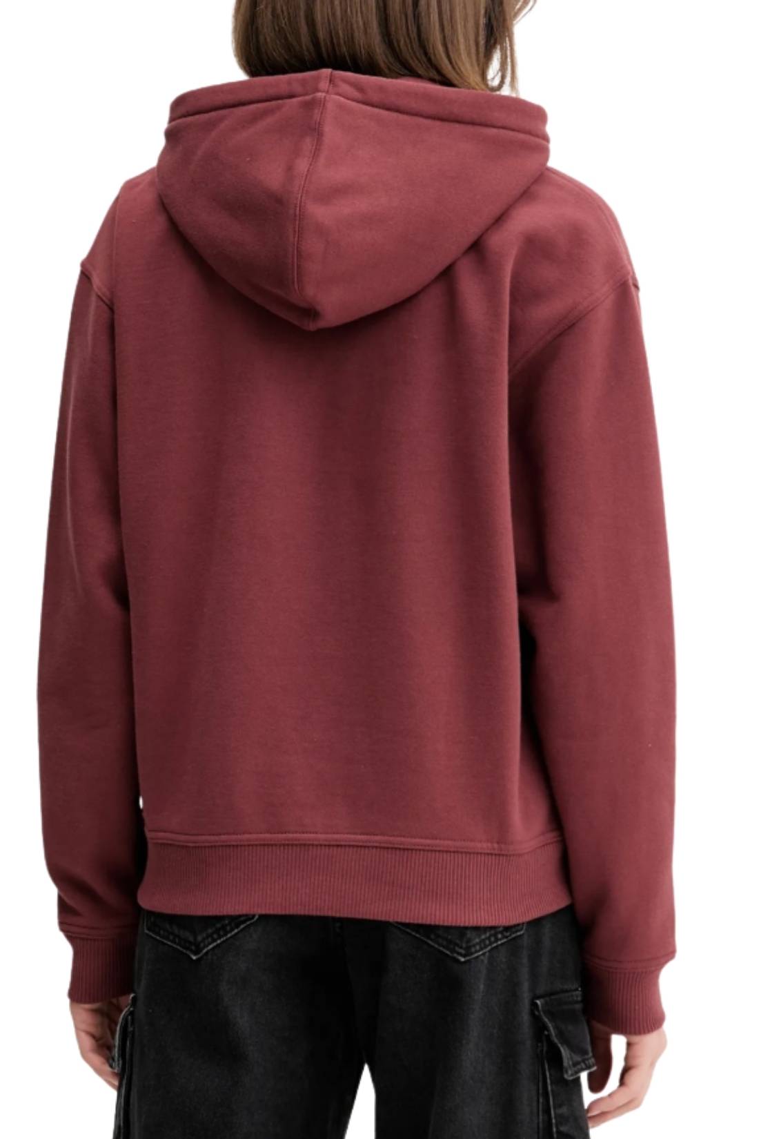 DICKIES - Women's winter Clancy hoodie-2