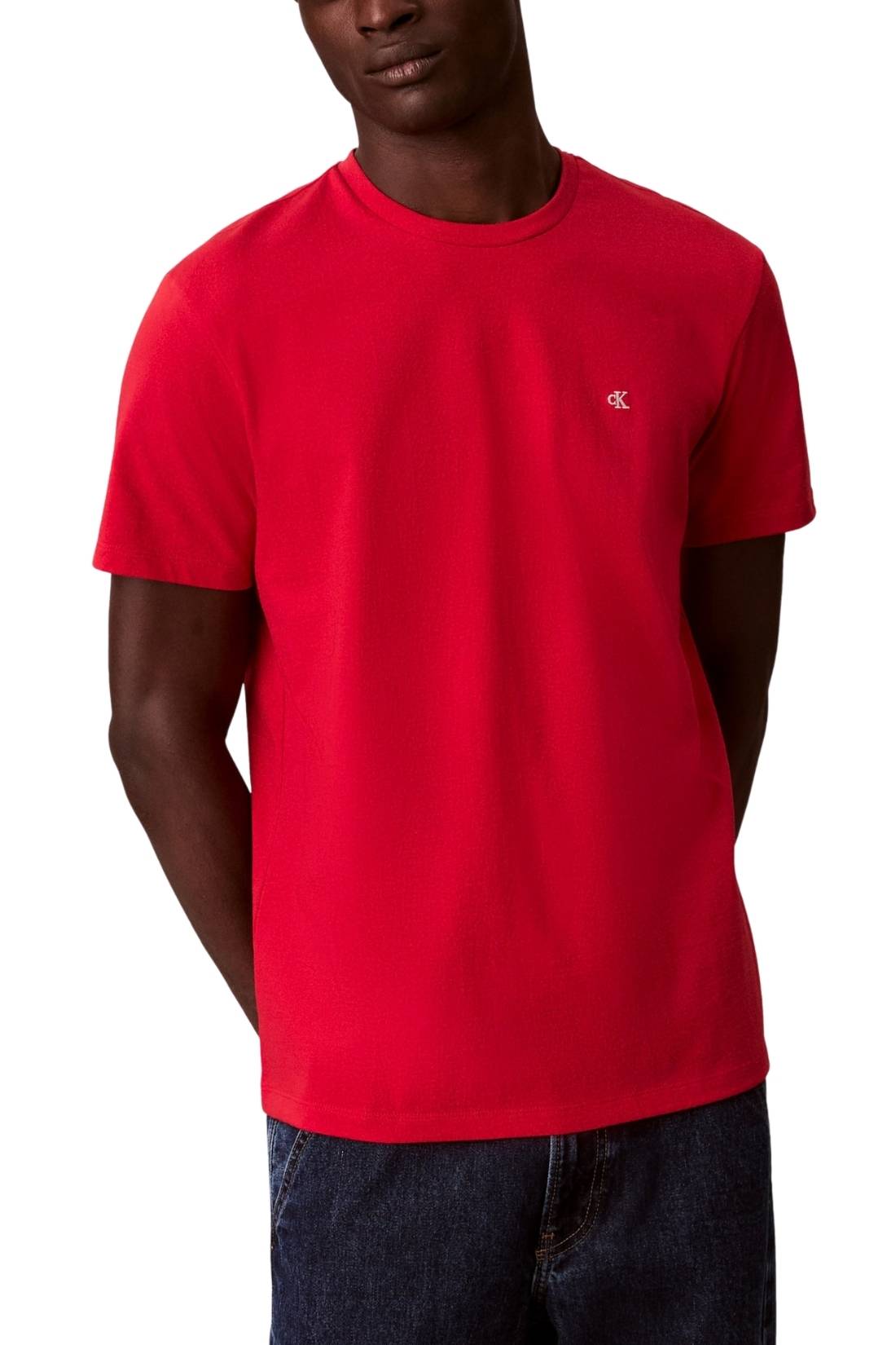 CALVIN KLEIN JEANS - Men's T-shirt with embroidered logo  - Size L-7