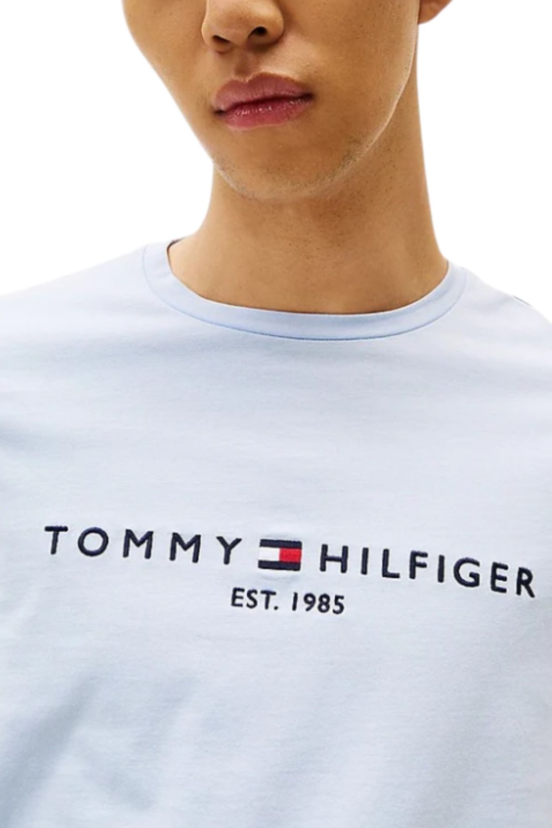 TOMMY HILFIGER - Men's regular logo T-shirt  - Size XL-3