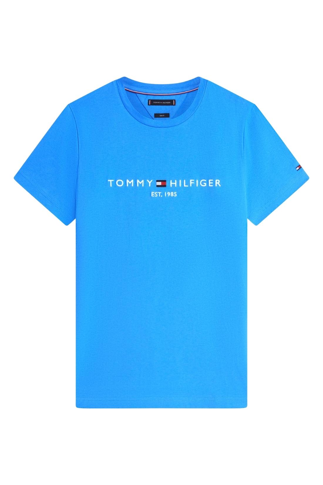 TOMMY HILFIGER - Men's regular logo T-shirt  - Size XL-5