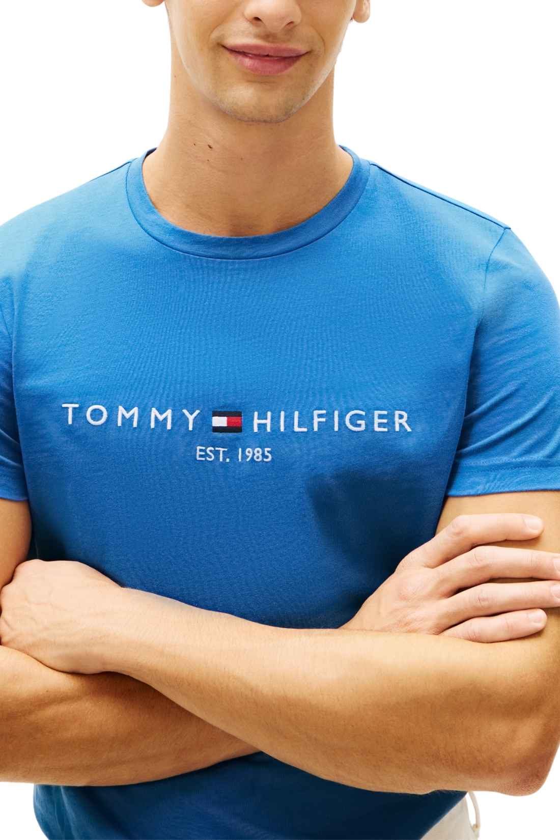 TOMMY HILFIGER - Men's regular logo T-shirt  - Size XL-7