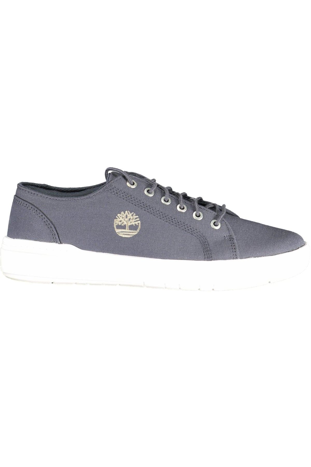 TIMBERLAND MEN'S BLUE SPORTS SHOES-0
