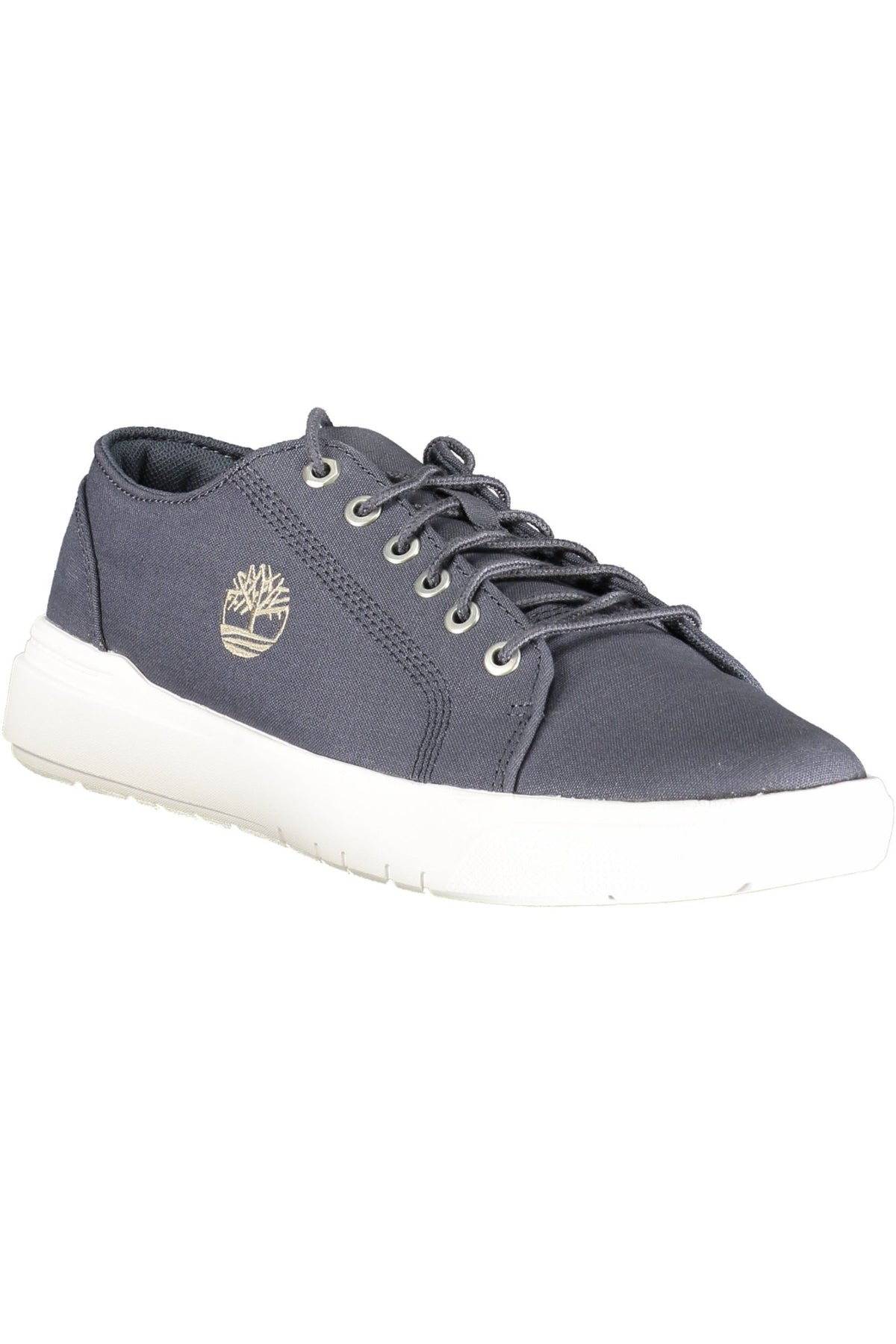 TIMBERLAND MEN'S BLUE SPORTS SHOES-1